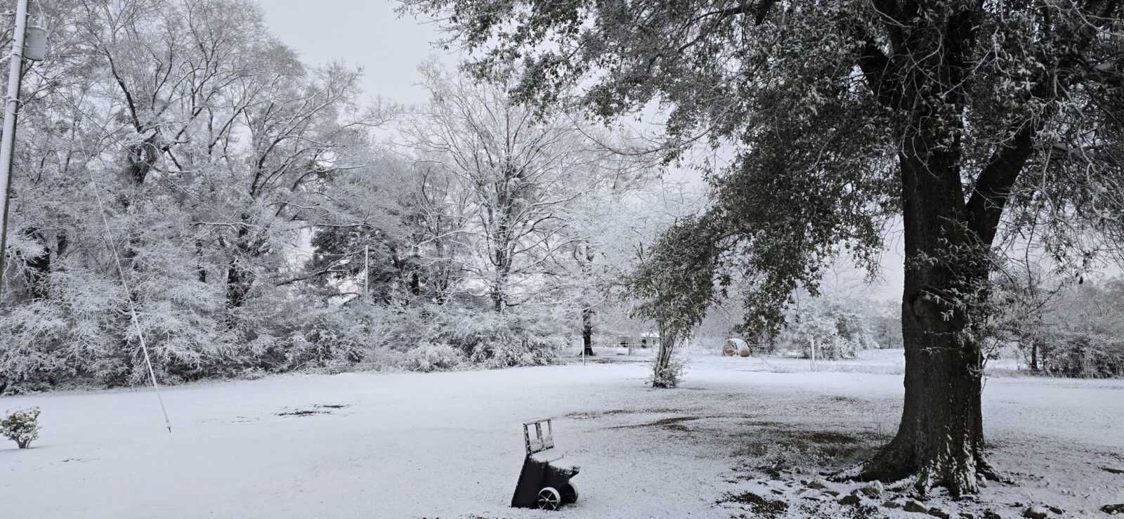 Snow covering the ground outside at night